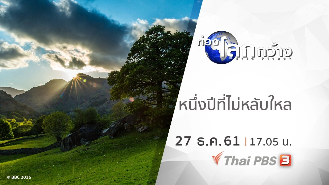 หนึ่งปีที่ไม่หลับใหล