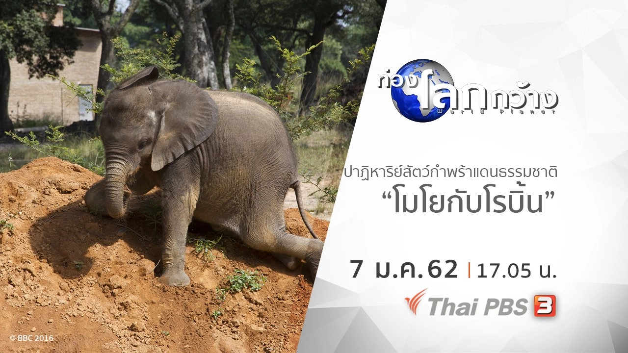 ปาฏิหาริย์สัตว์กำพร้าแดนธรรมชาติ ตอน โมโยกับโรบิ้น