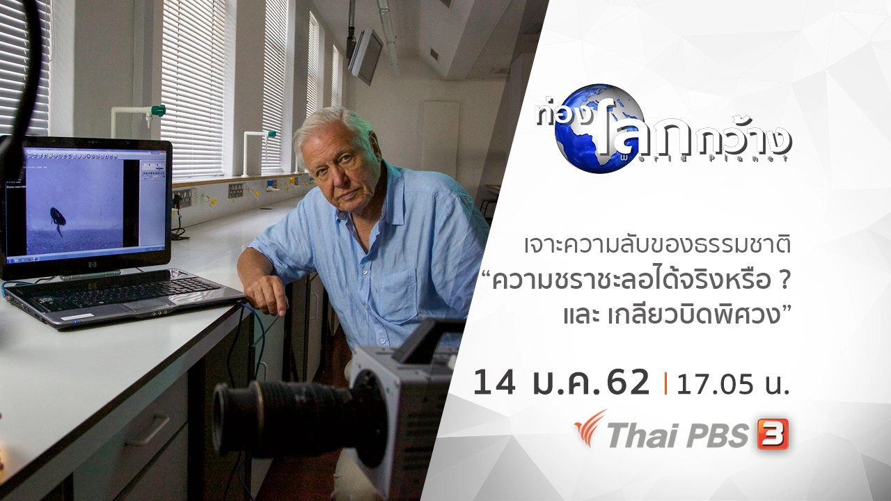 เจาะความลับของธรรมชาติ ตอน ความชราชะลอได้จริงหรือ ? และ เกลียวบิดพิศวง