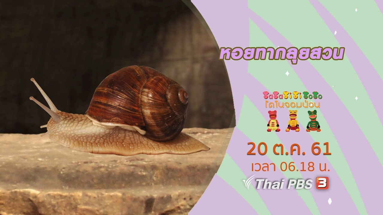 หอยทากลุยสวน