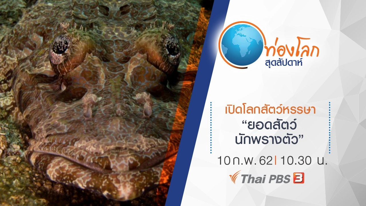 เปิดโลกสัตว์หรรษา ตอน ยอดสัตว์นักพรางตัว