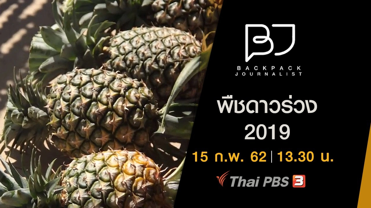 พืชดาวร่วง 2019