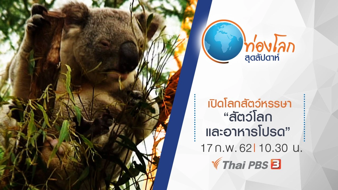 เปิดโลกสัตว์หรรษา ตอน สัตว์โลกและอาหารโปรด