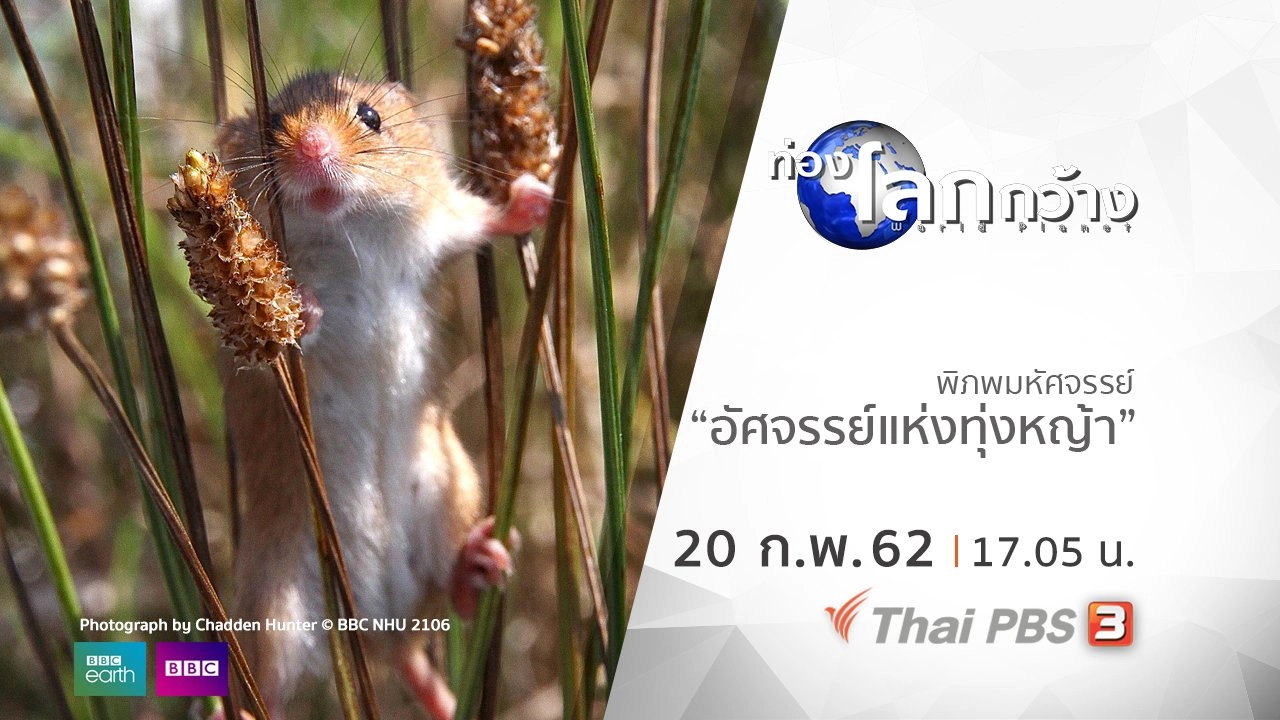 พิภพมหัศจรรย์ ตอน อัศจรรย์แห่งทุ่งหญ้า