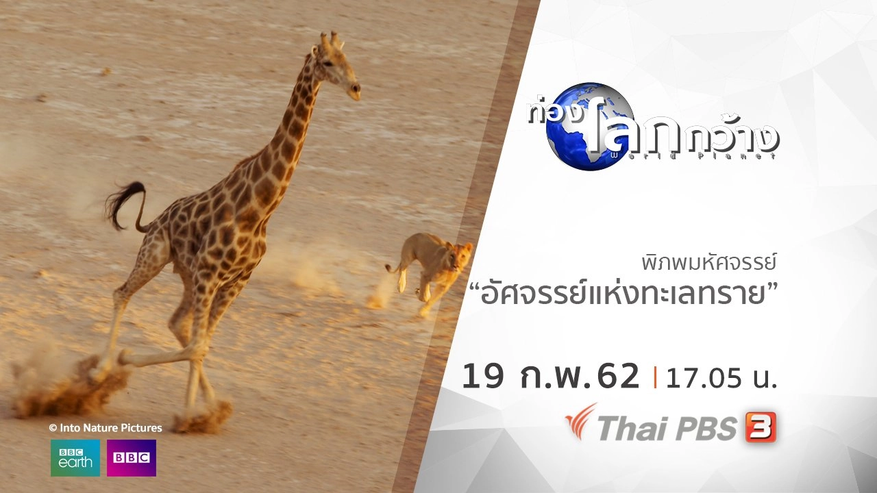 พิภพมหัศจรรย์ ตอน อัศจรรย์แห่งทะเลทราย