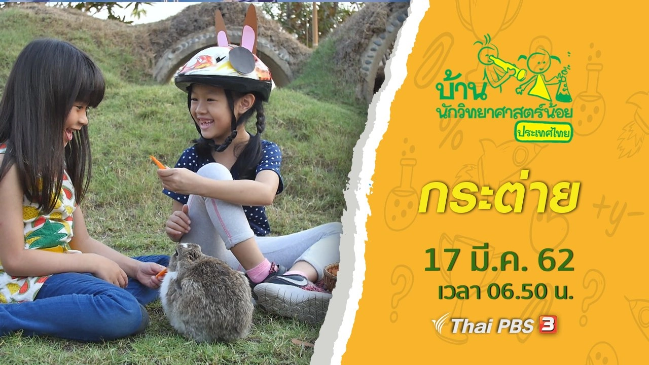 กระต่าย
