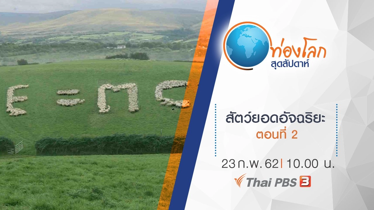 สัตว์ยอดอัจฉริยะ ตอนที่ 2