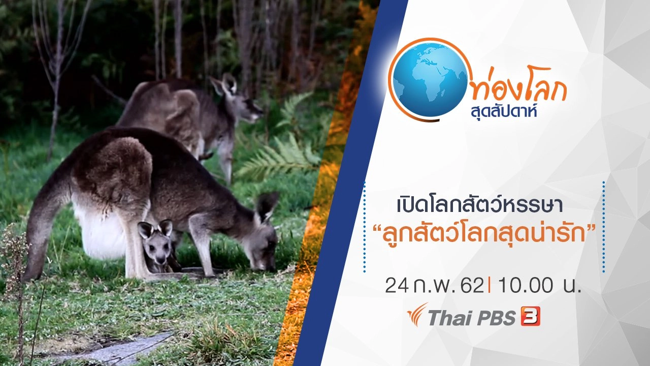 เปิดโลกสัตว์หรรษา ตอน ลูกสัตว์โลกสุดน่ารัก