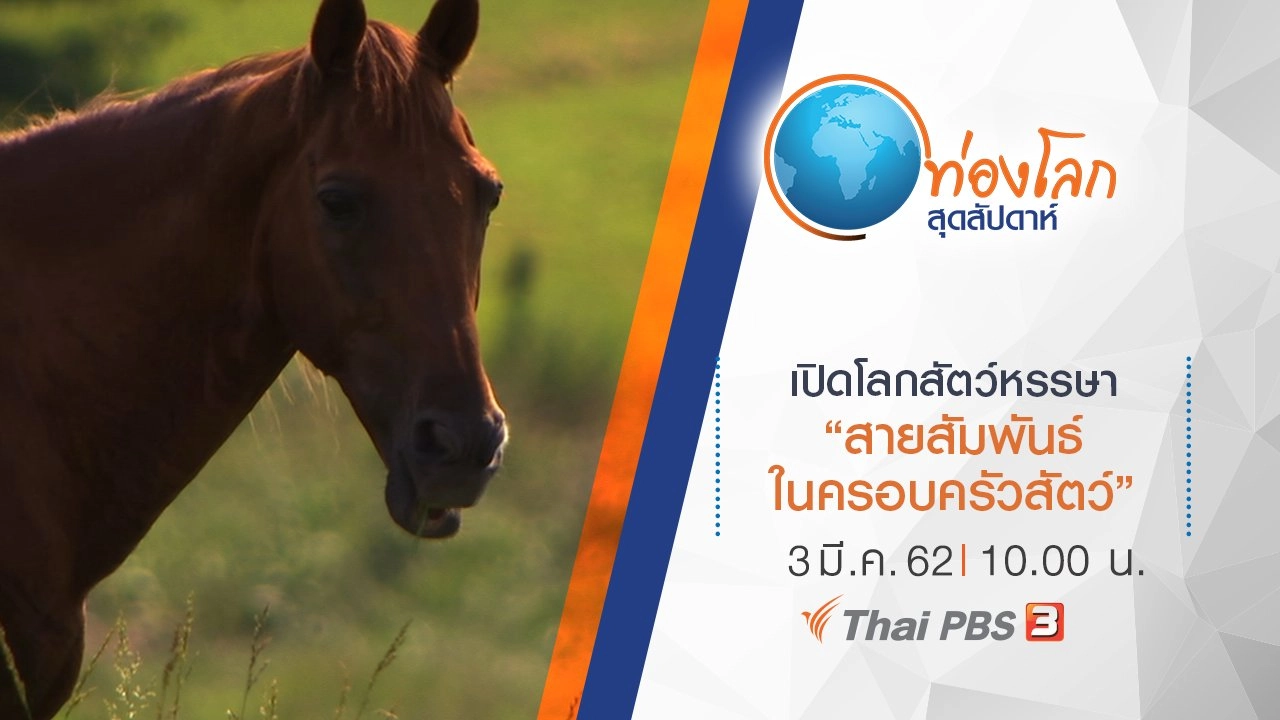 เปิดโลกสัตว์หรรษา ตอน สายสัมพันธ์ในครอบครัวสัตว์