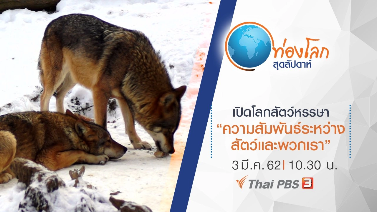 เปิดโลกสัตว์หรรษา ตอน ความสัมพันธ์ระหว่างสัตว์และพวกเรา