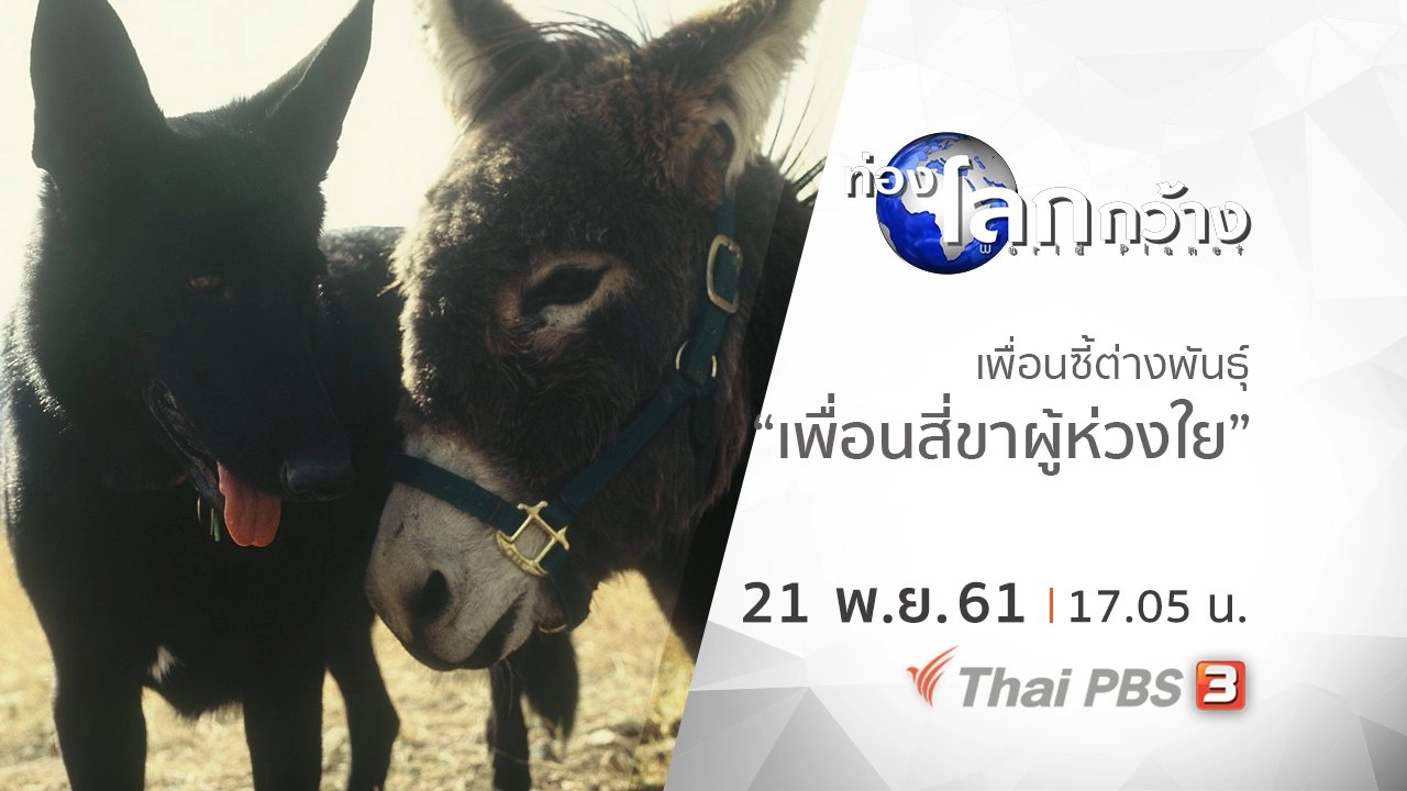 เพื่อนซี้ต่างพันธุ์ ตอน เพื่อนสี่ขาผู้ห่วงใย