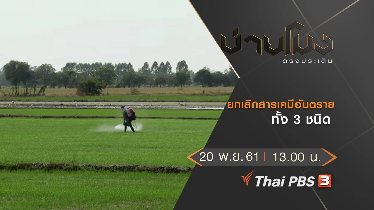 ประเด็นข่าว (20 พ.ย. 61)