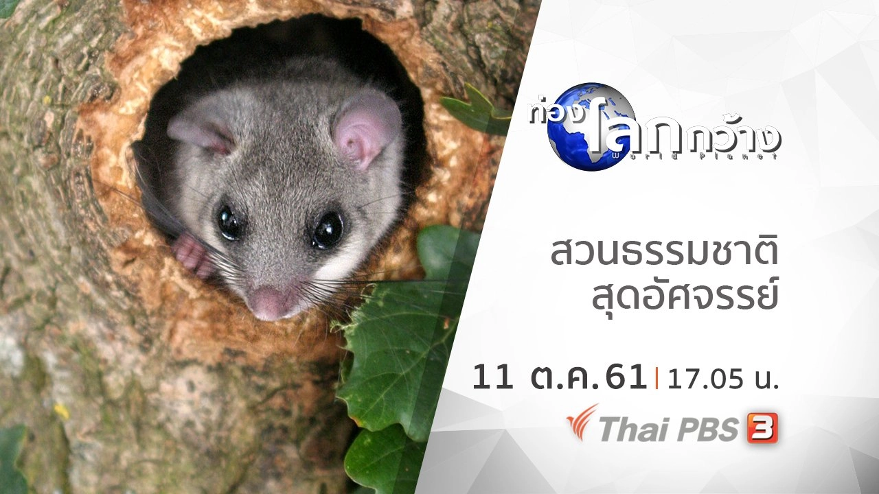 สวนธรรมชาติสุดอัศจรรย์