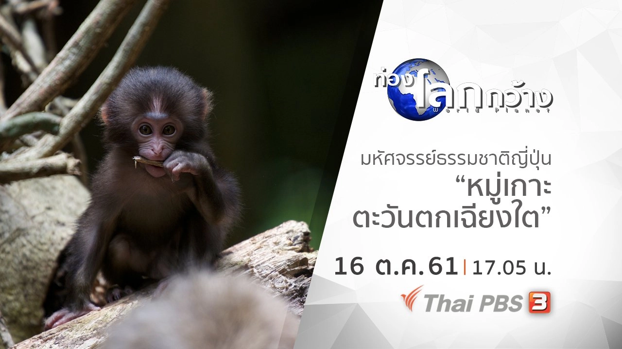 มหัศจรรย์ธรรมชาติญี่ปุ่น ตอน หมู่เกาะตะวันตกเฉียงใต้