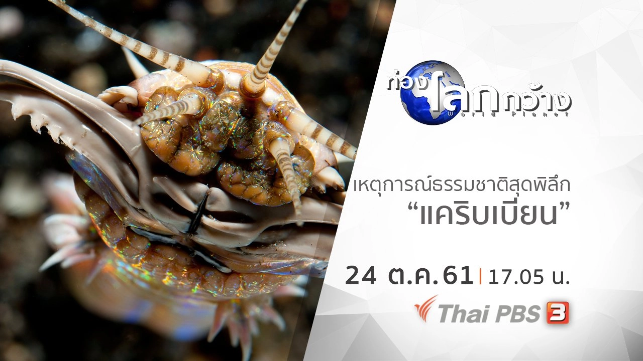 เหตุการณ์ธรรมชาติสุดพิลึก ตอน แคริบเบียน