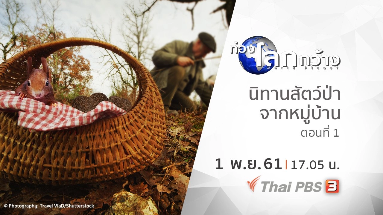 นิทานสัตว์ป่าจากหมู่บ้าน ตอนที่ 1