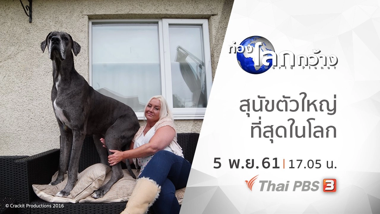 สุนัขตัวใหญ่ที่สุดในโลก