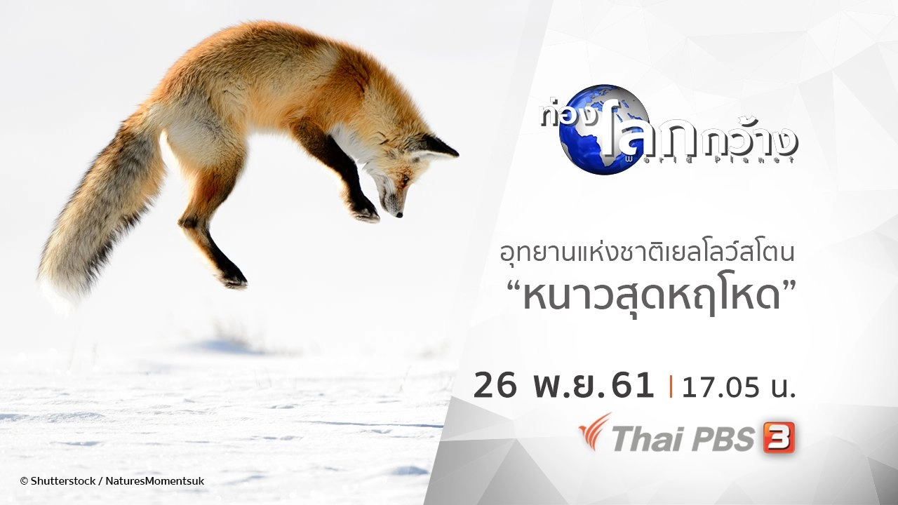 อุทยานแห่งชาติเยลโลว์สโตน ตอน หนาวสุดหฤโหด