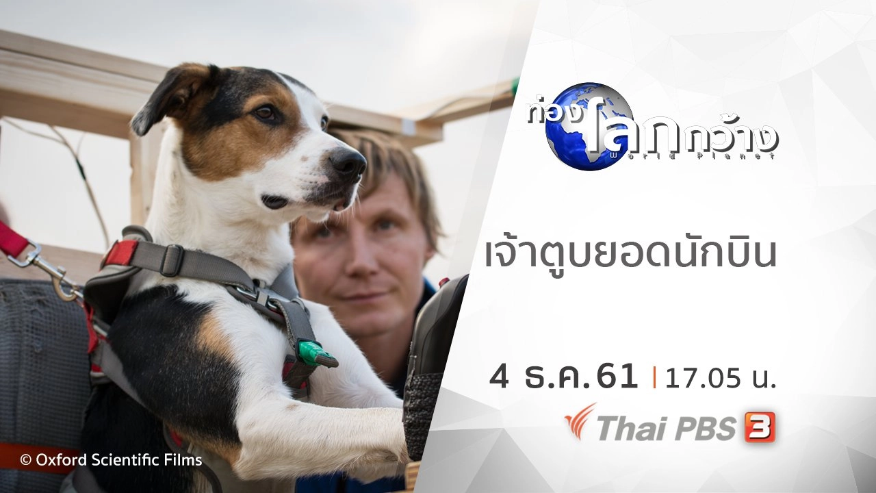 เจ้าตูบยอดนักบิน