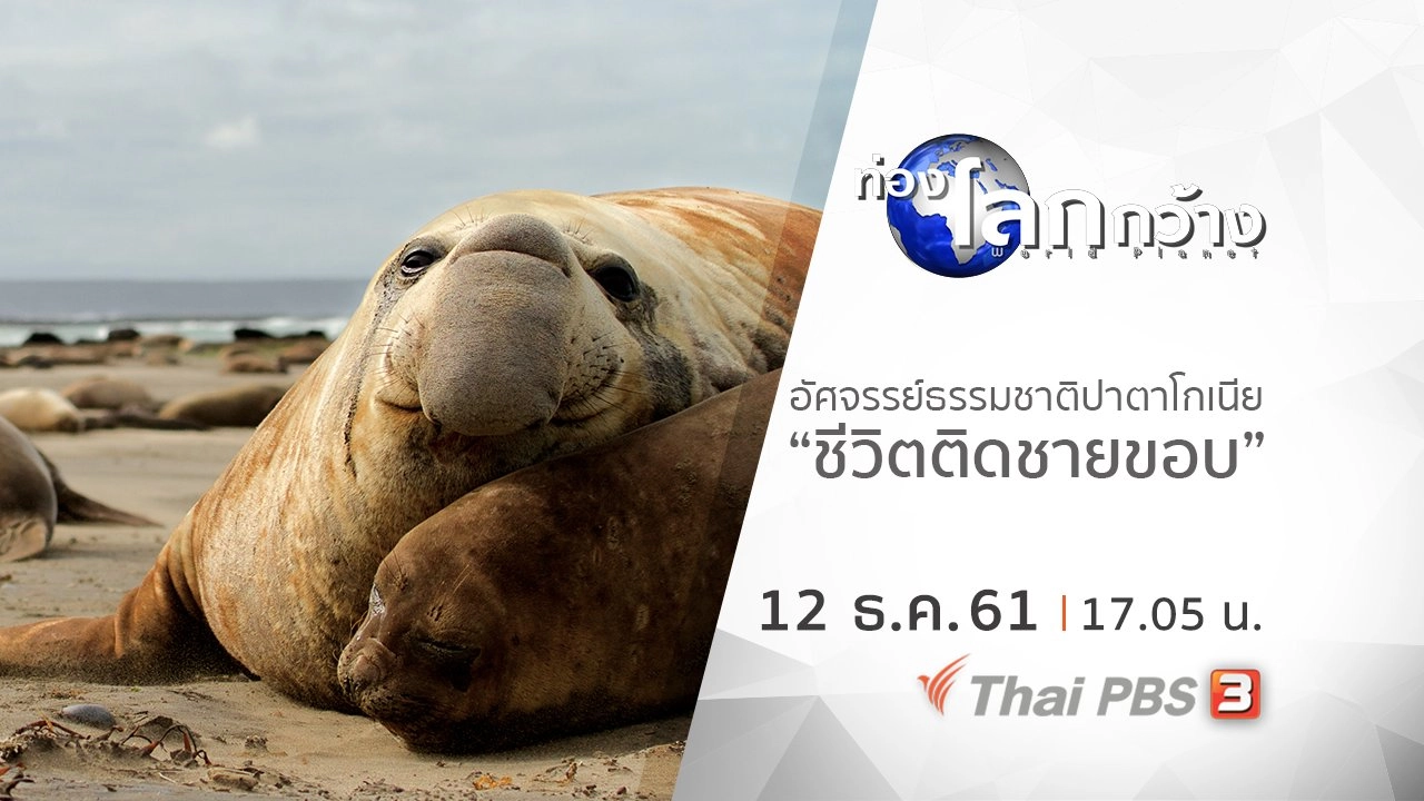 อัศจรรย์ธรรมชาติปาตาโกเนีย ตอน ชีวิตติดชายขอบ