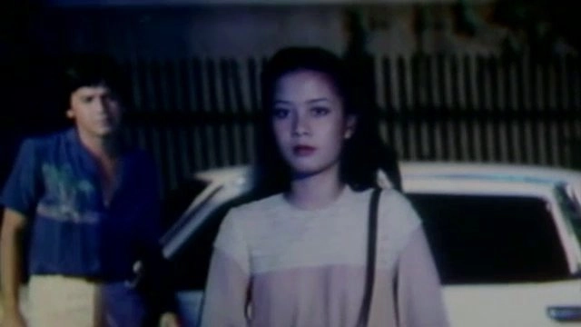 ดอกฟ้ากับโดมผู้จองหอง  (พ.ศ. 2524)