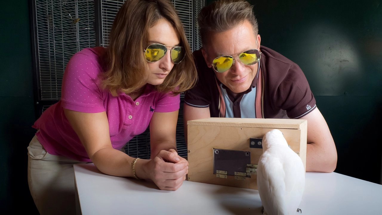 เจาะลึกเข้าไปในหัวใจสัตว์โลก ตอน นักแก้ปัญหา