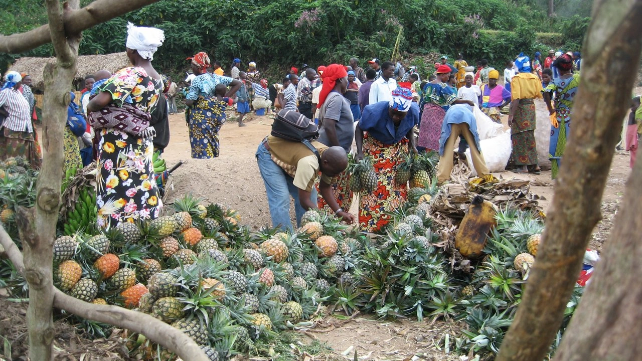 โลก 360 องศา ตอน อิดจ์วี เกาะที่ถูกลืมของแอฟริกา