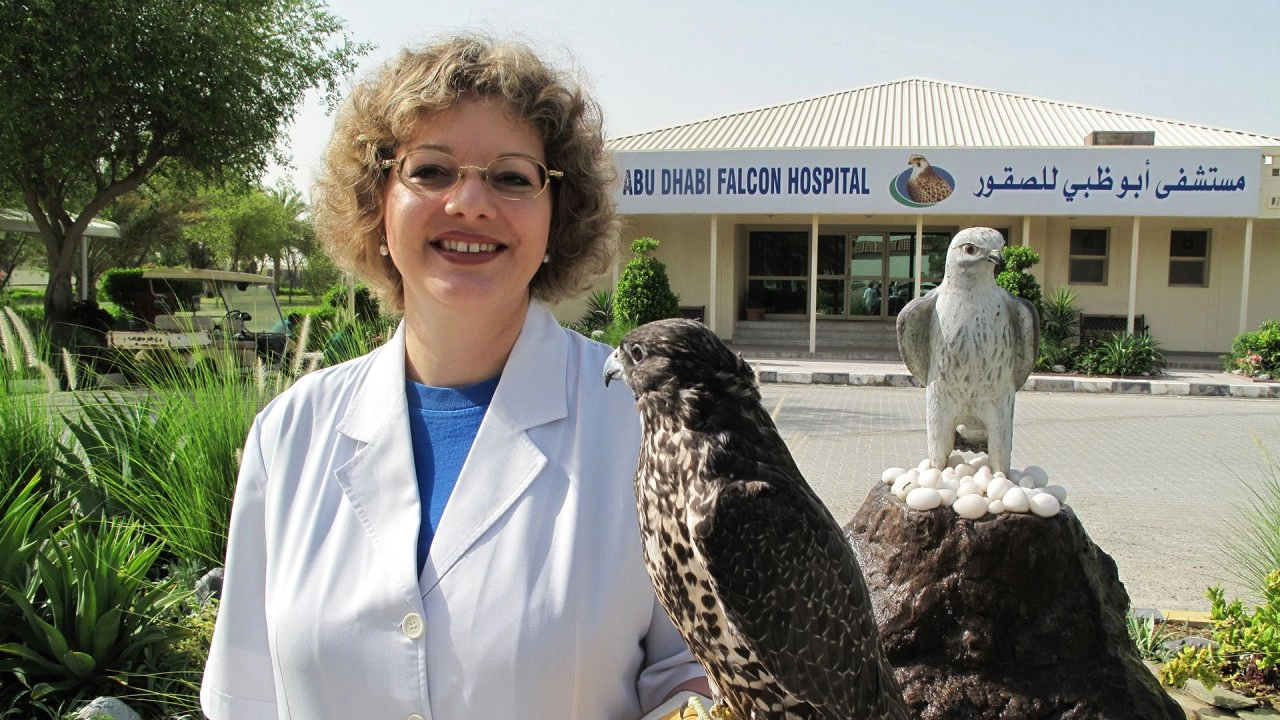 โลก 360 องศา ตอน หมอเหยี่ยวแห่ง อาบู ดาบี