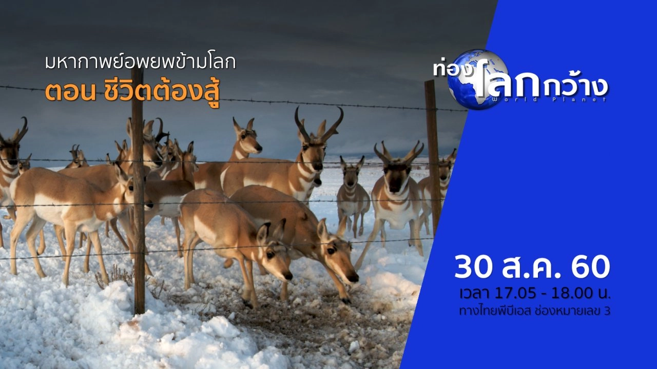 มหากาพย์อพยพข้ามโลก ตอน ชีวิตต้องสู้