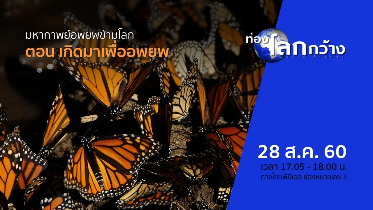 มหากาพย์อพยพข้ามโลก ตอน เกิดมาเพื่ออพยพ