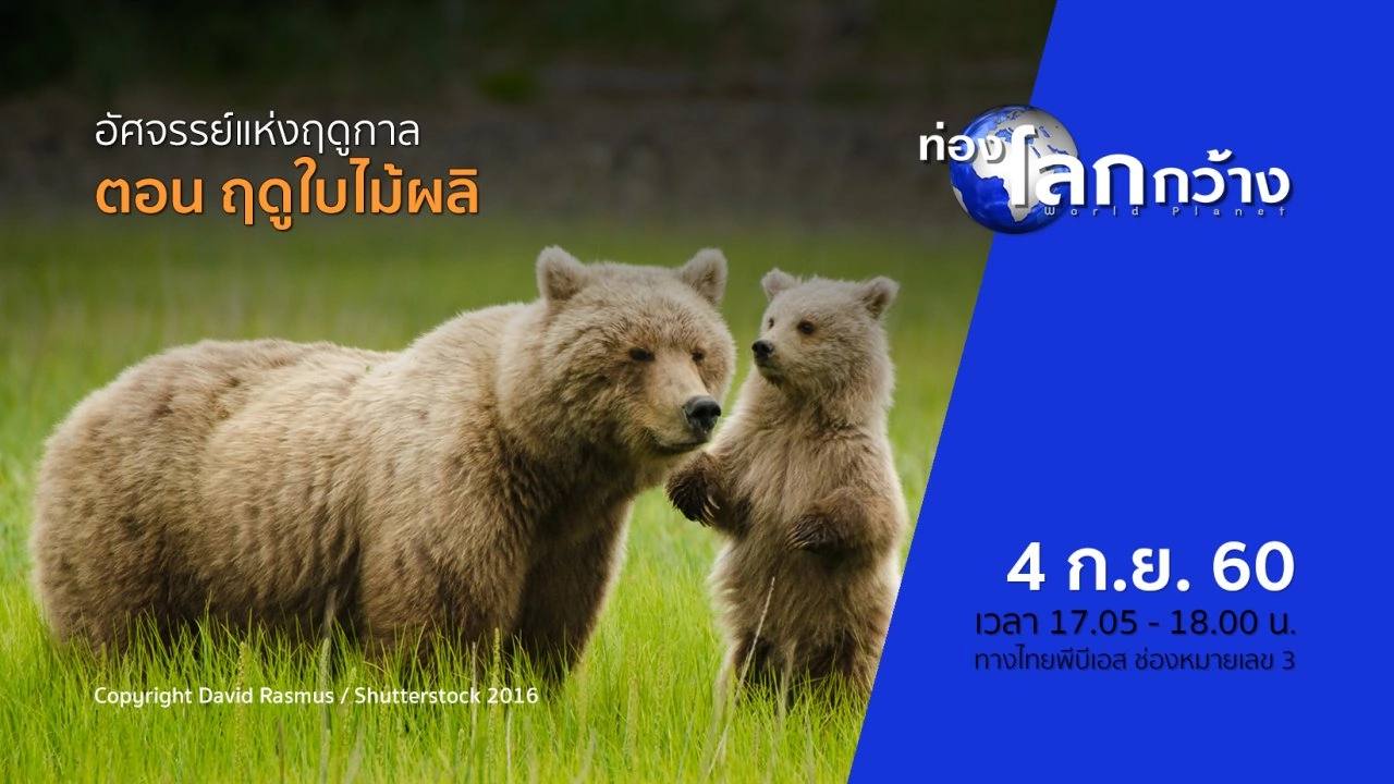 อัศจรรย์แห่งฤดูกาล ตอน ฤดูใบไม้ผลิ