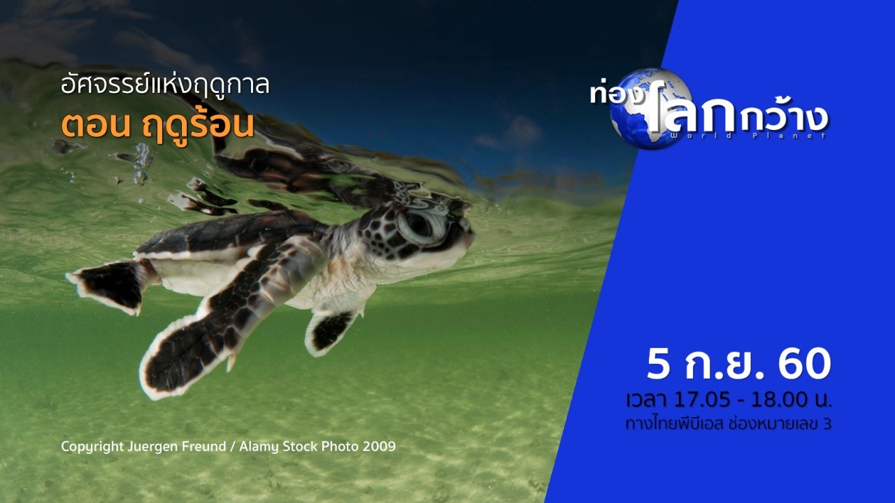 อัศจรรย์แห่งฤดูกาล ตอน ฤดูร้อน