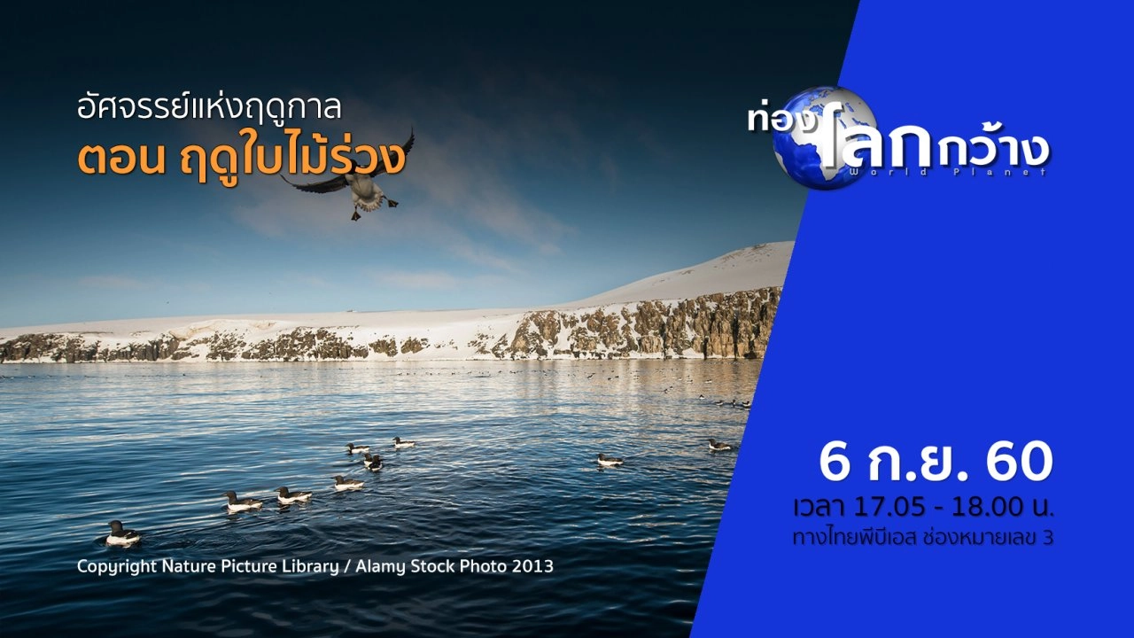 อัศจรรย์แห่งฤดูกาล ตอน ฤดูใบไม้ร่วง