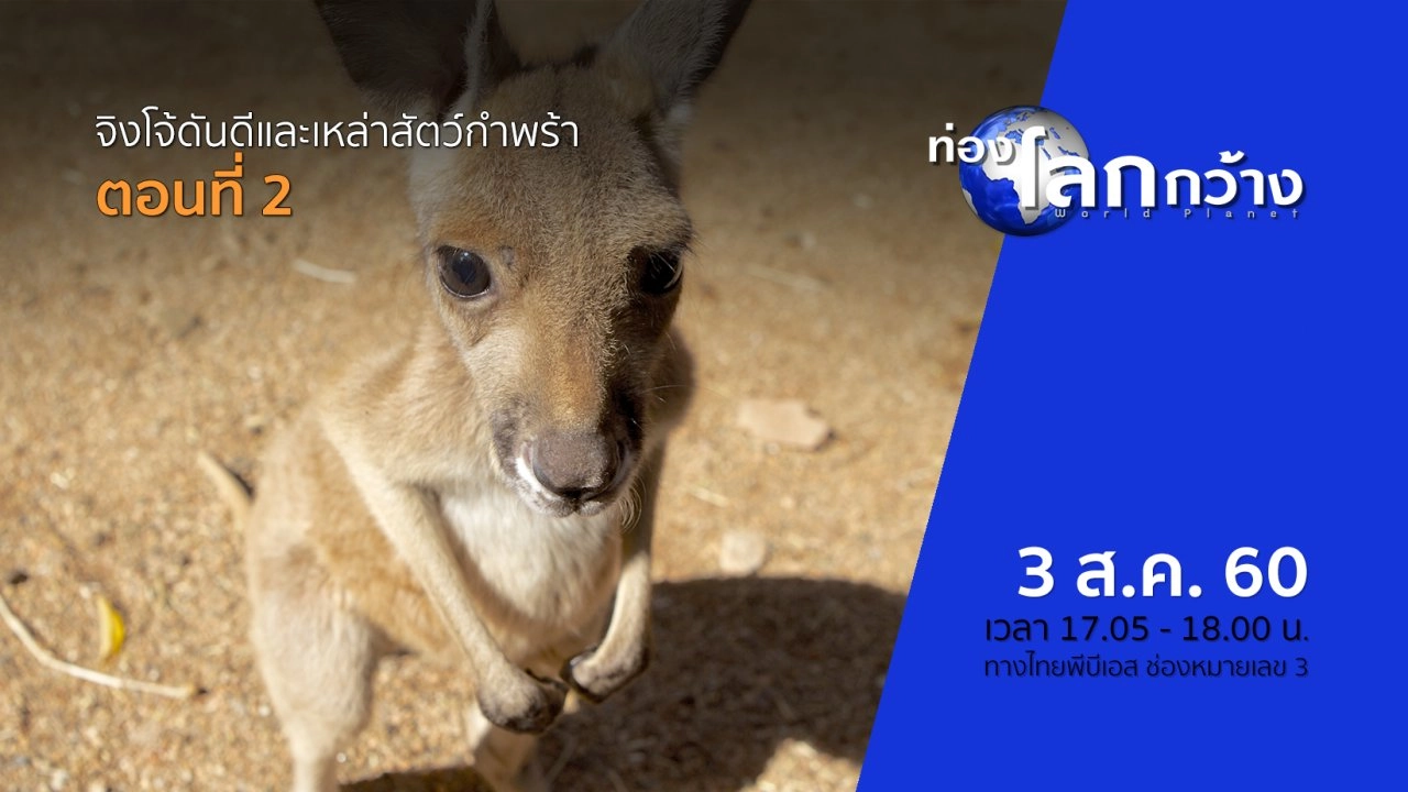 จิงโจ้ดันดีและเหล่าสัตว์กำพร้า ตอนที่ 2