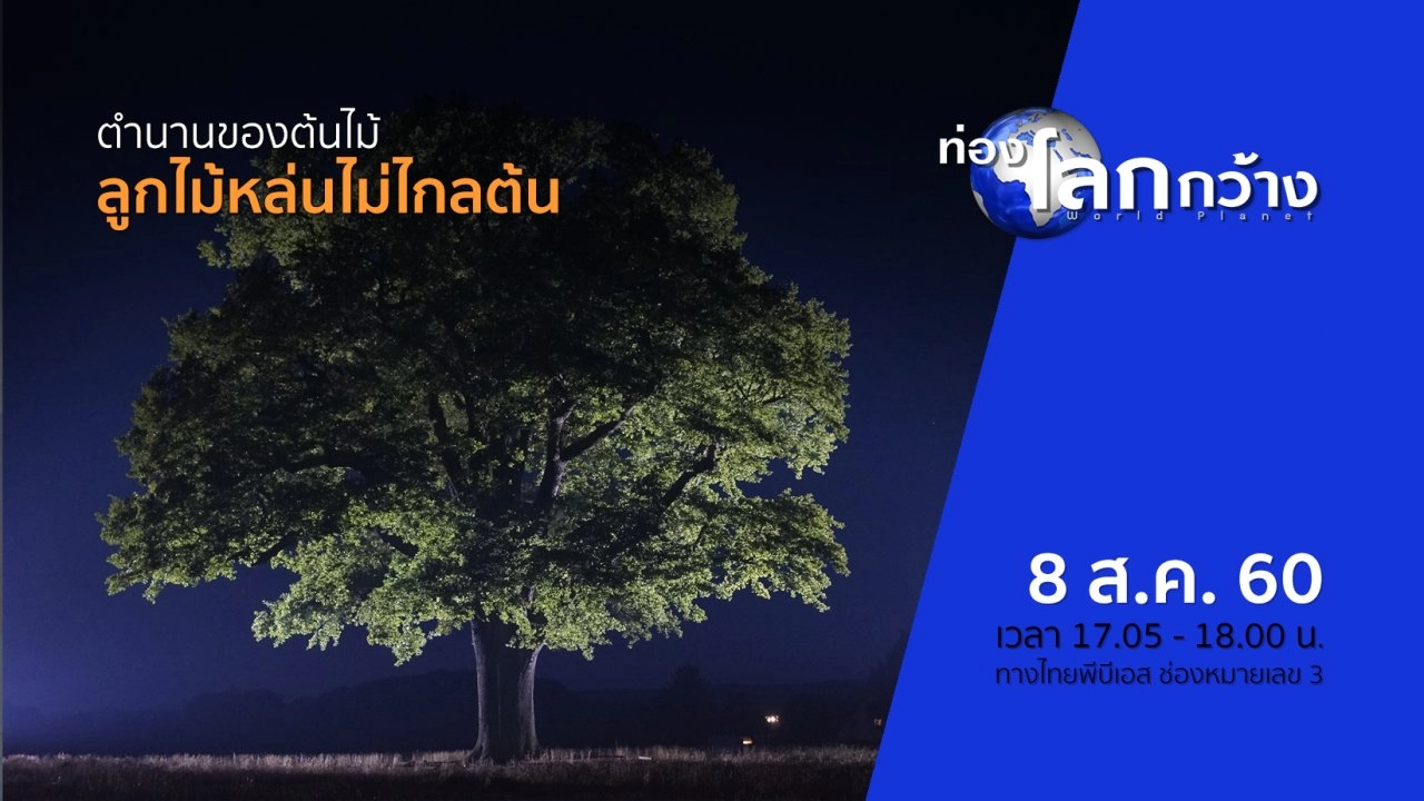 ตำนานของต้นไม้ ตอน ลูกไม้หล่นไม่ไกลต้น