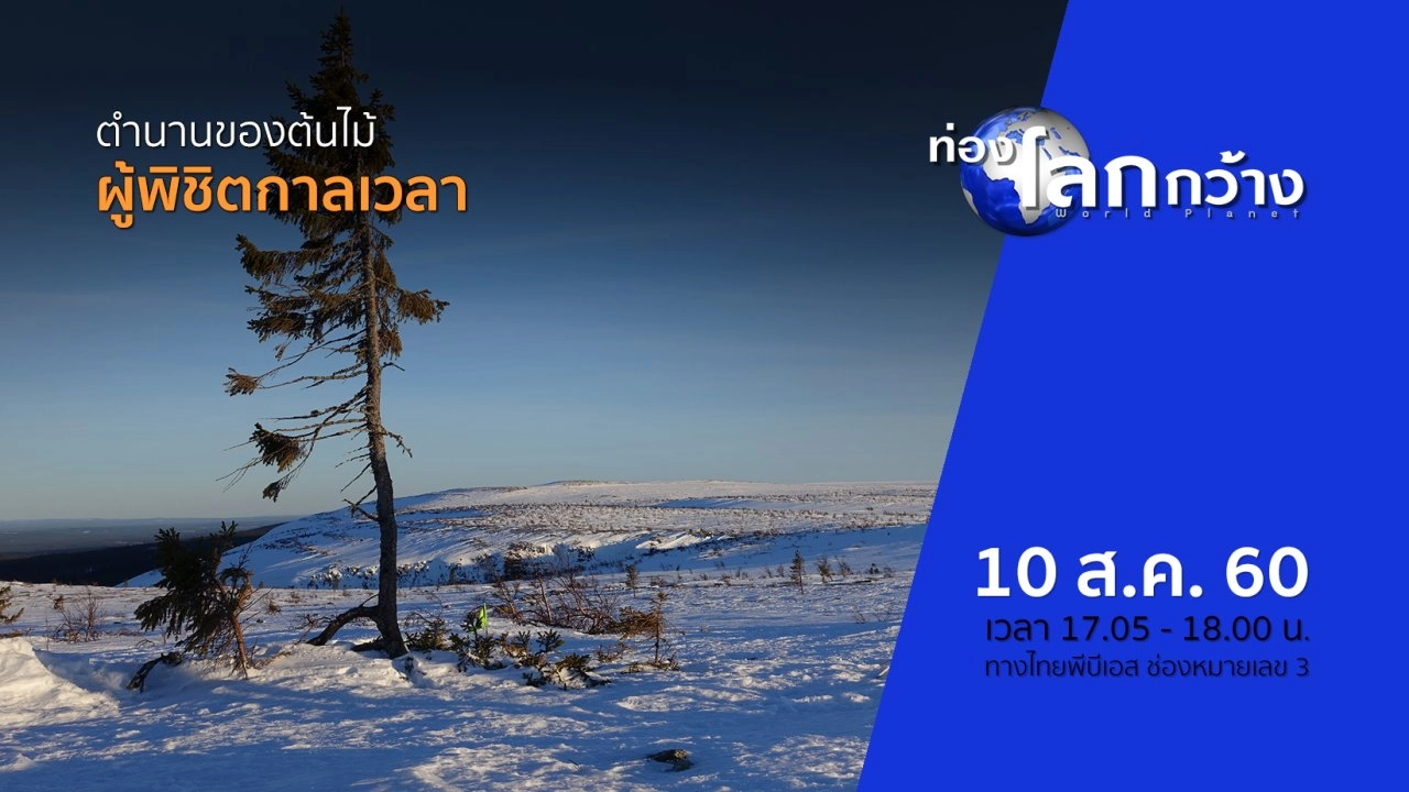 ตำนานของต้นไม้ ตอน ผู้พิชิตกาลเวลา