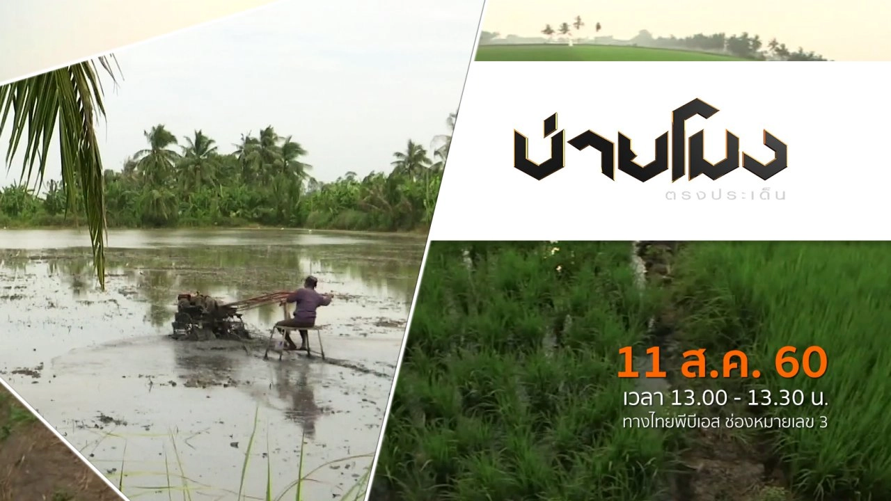 ประเด็นข่าว (11 ส.ค. 60)