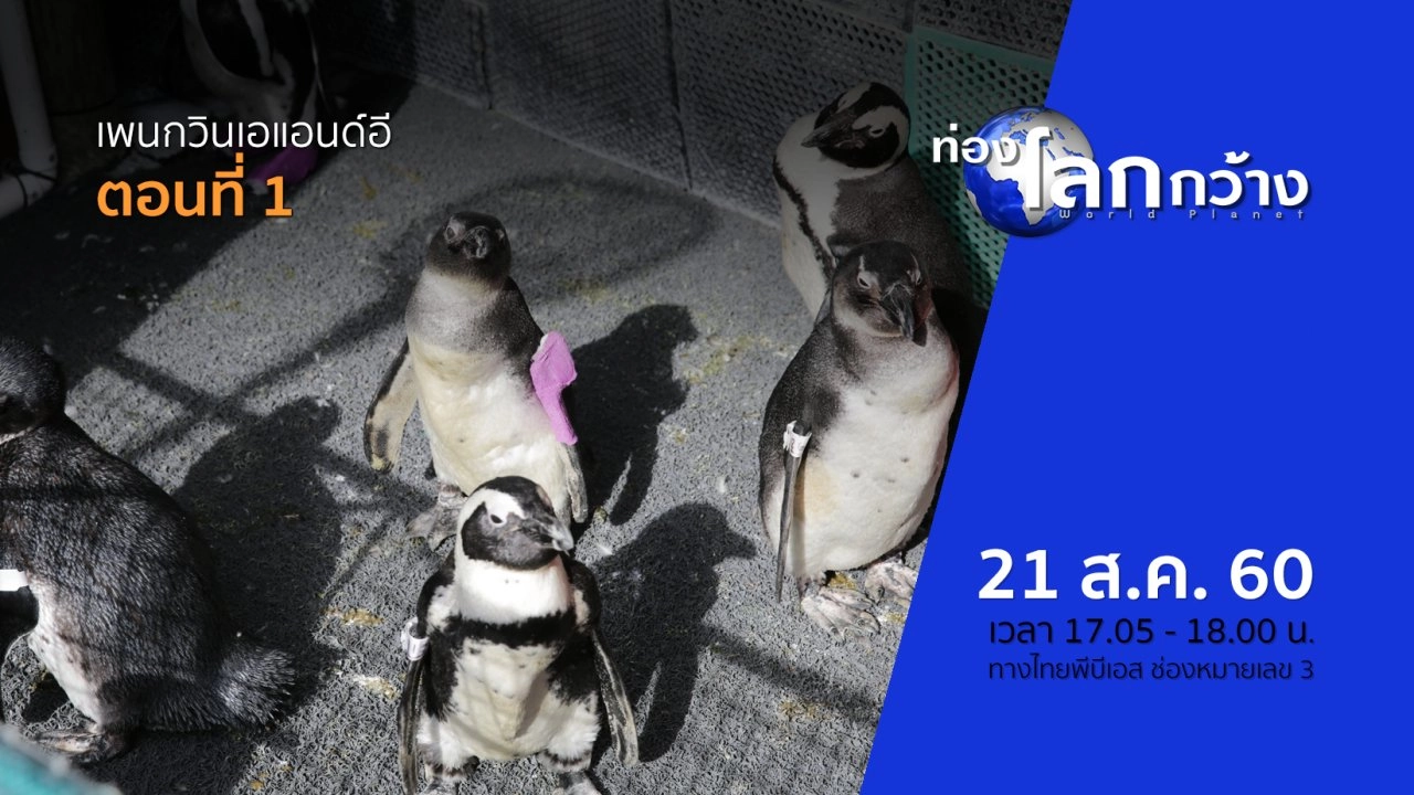 เพนกวินเอแอนด์อี ตอนที่ 1