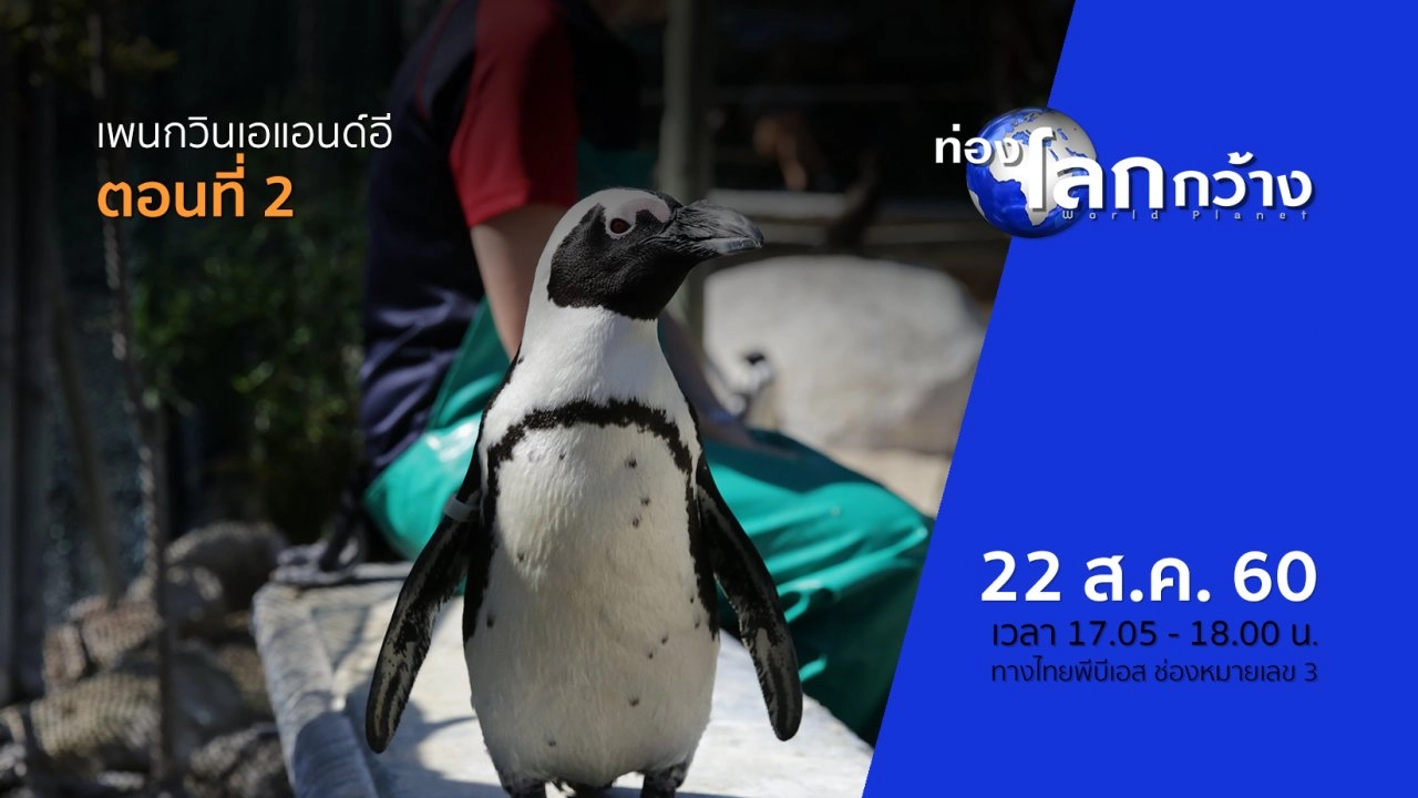 เพนกวินเอแอนด์อี ตอนที่ 2