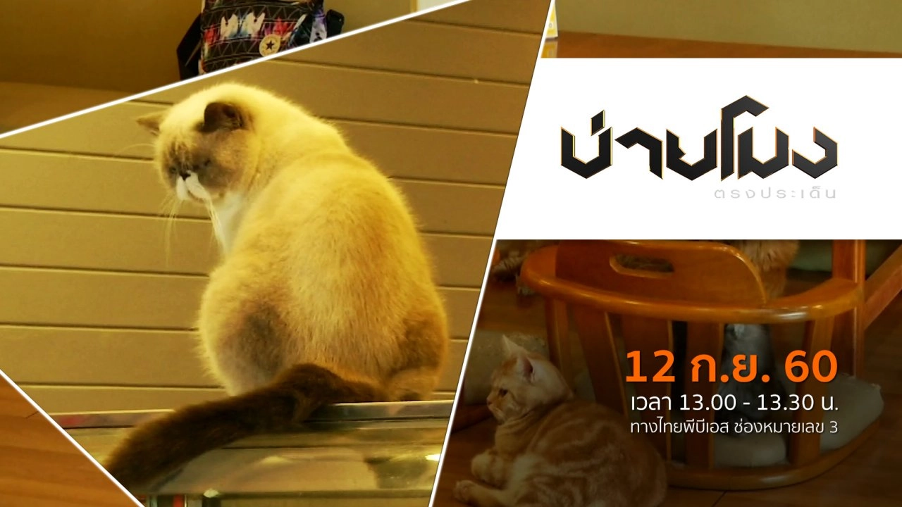 ประเด็นข่าว (12 ก.ย. 60)