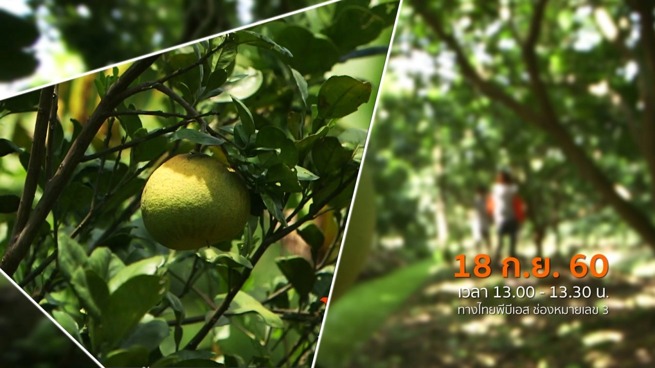 ประเด็นข่าว (18 ก.ย. 60)