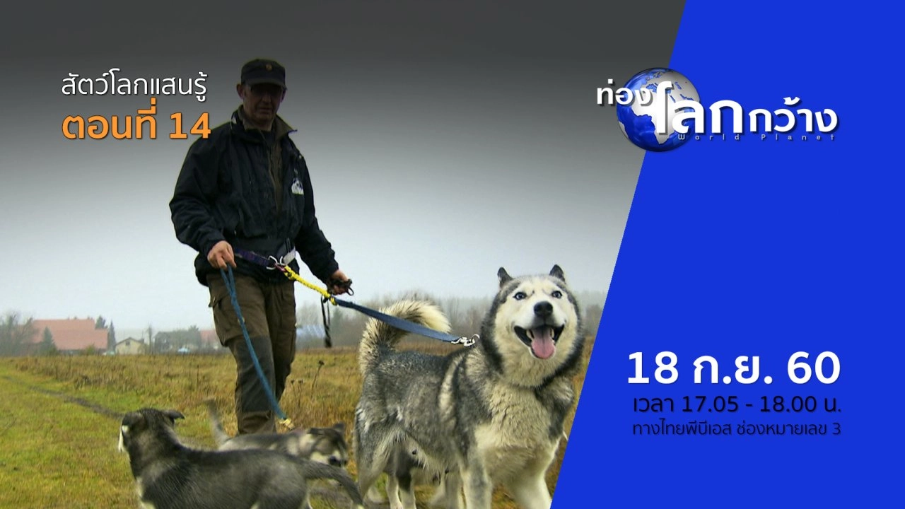 สัตว์โลกแสนรู้ ตอนที่ 14