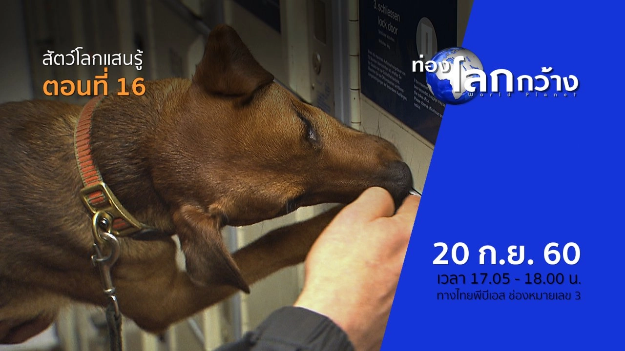 สัตว์โลกแสนรู้ ตอนที่ 16