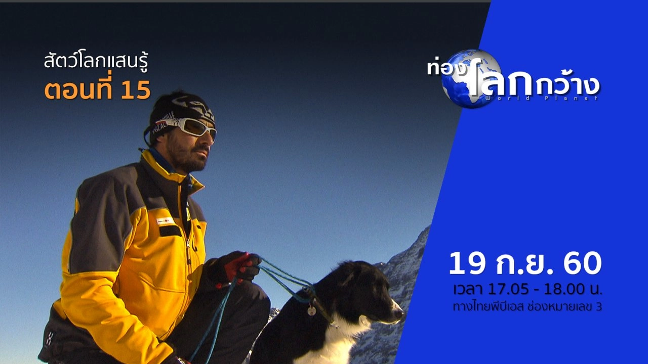 สัตว์โลกแสนรู้ ตอนที่ 15