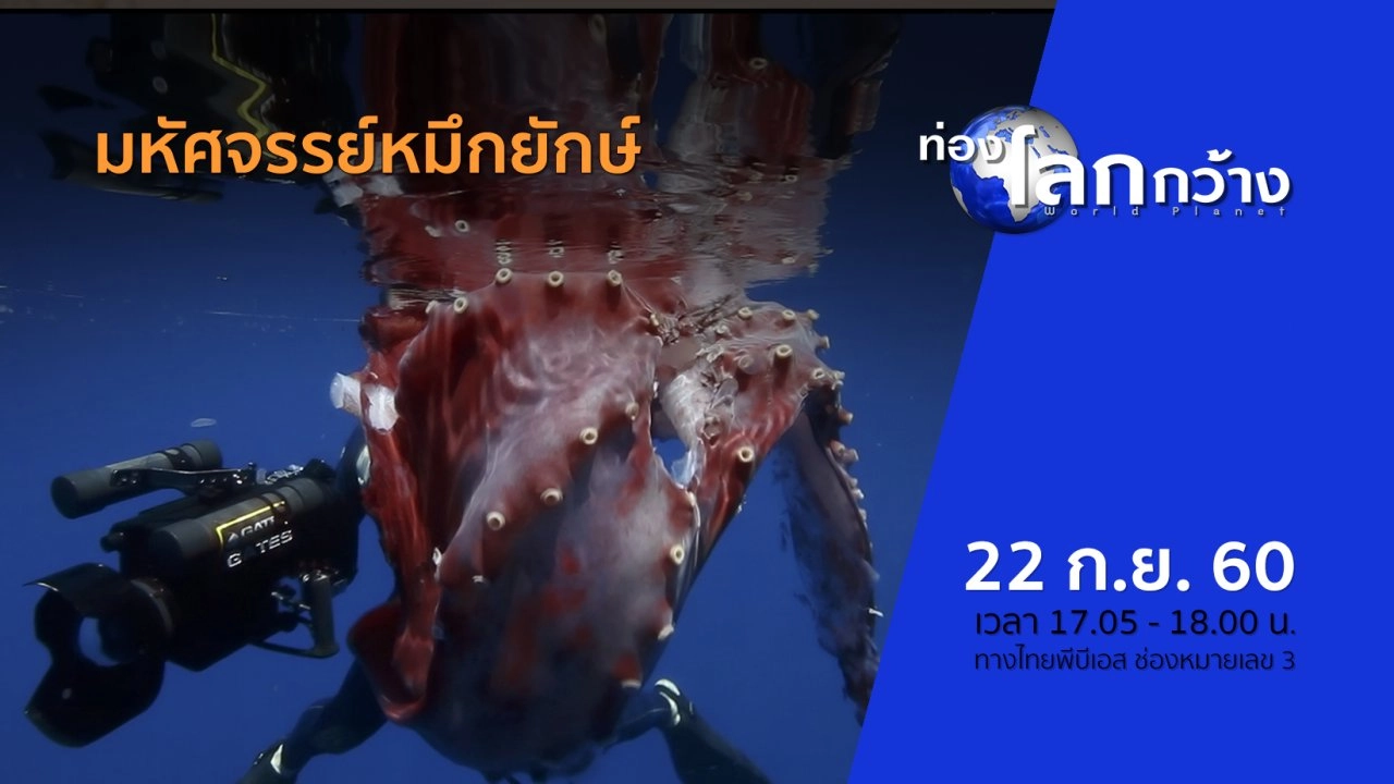 มหัศจรรย์หมึกยักษ์