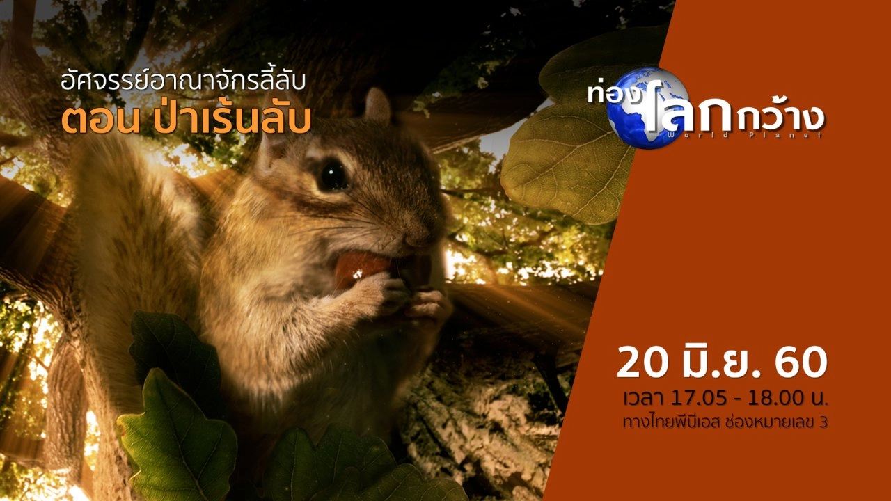 อัศจรรย์อาณาจักรลี้ลับ ตอน ป่าเร้นลับ