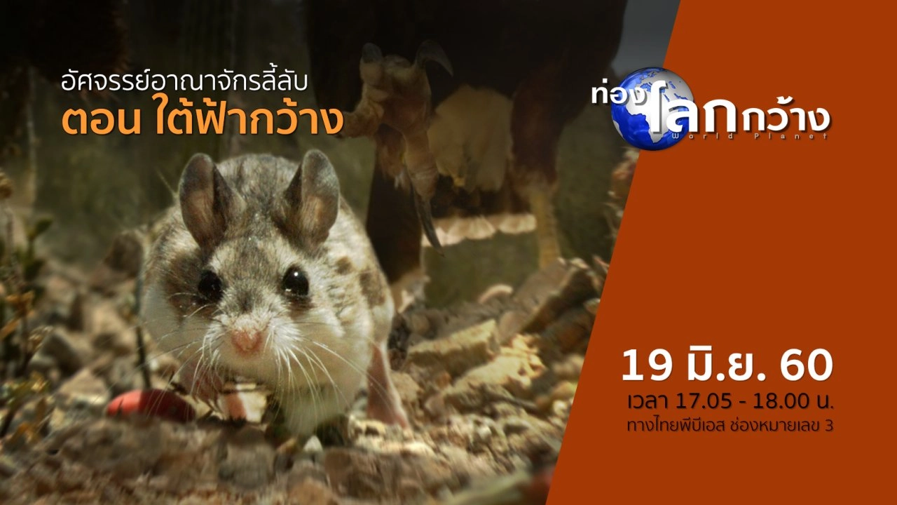 อัศจรรย์อาณาจักรลี้ลับ ตอน ใต้ฟ้ากว้าง