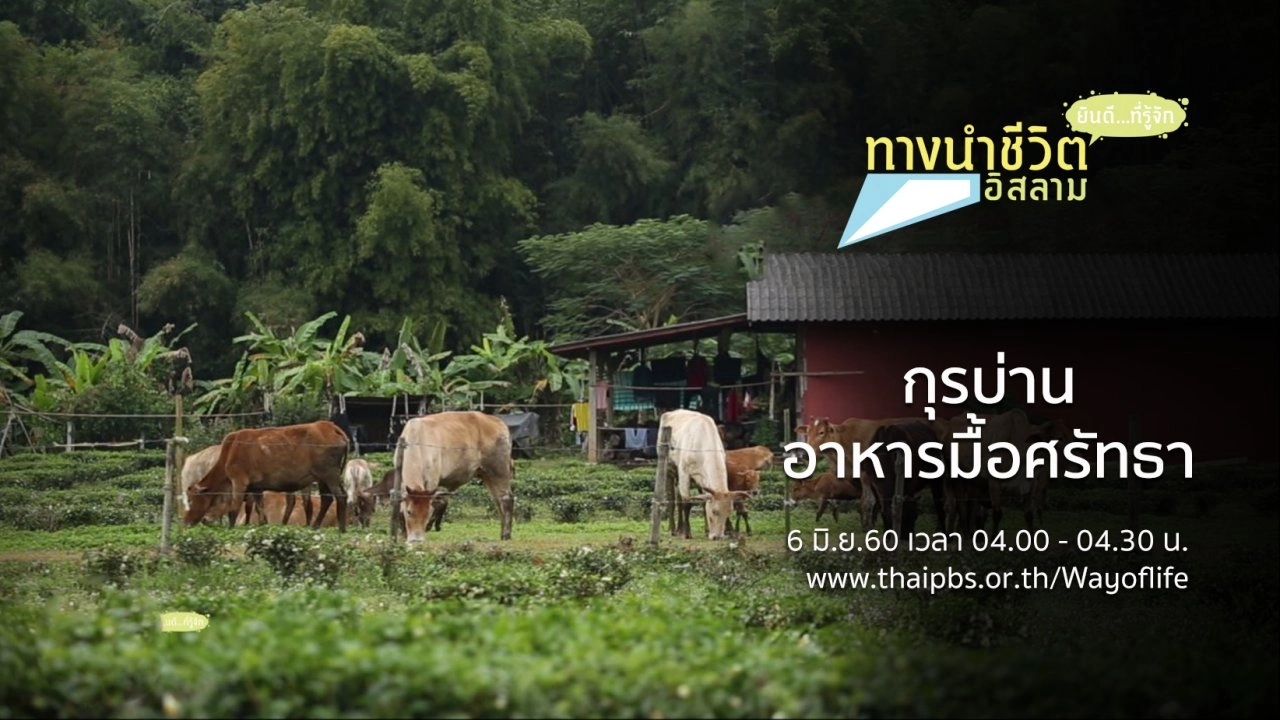 กุรบ่าน อาหารมื้อศรัทธา