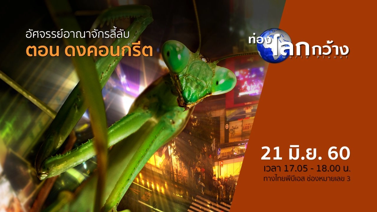 อัศจรรย์อาณาจักรลี้ลับ ตอน ดงคอนกรีต