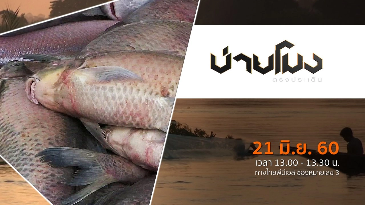 ประเด็นข่าว ( 21 มิ.ย. 60)